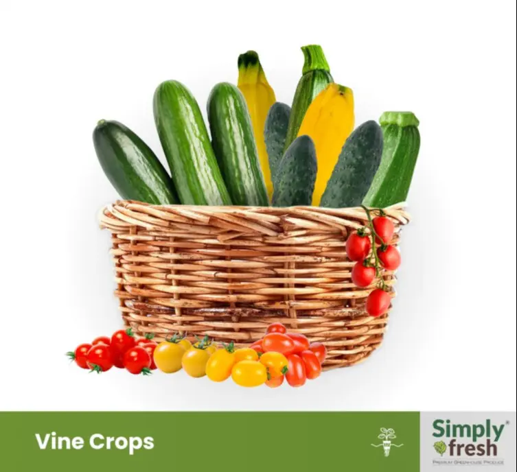 Simply Fresh Vine Crops Collection