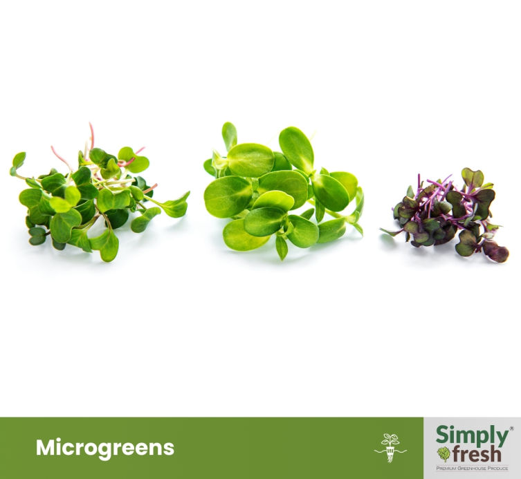 Simply Fresh Micro Greens Collection