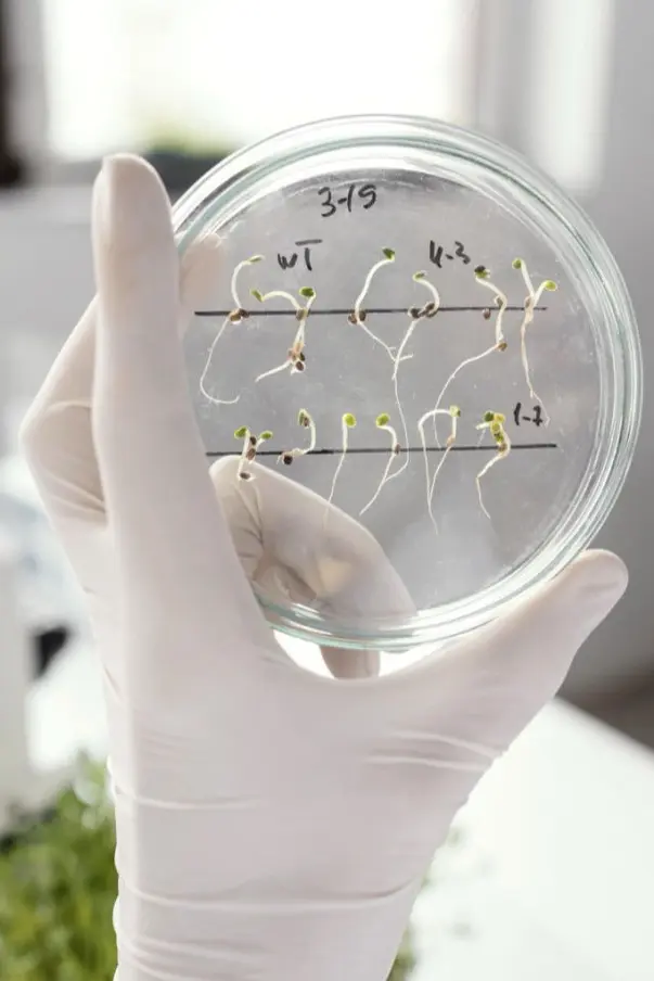 Simply Fresh Technology